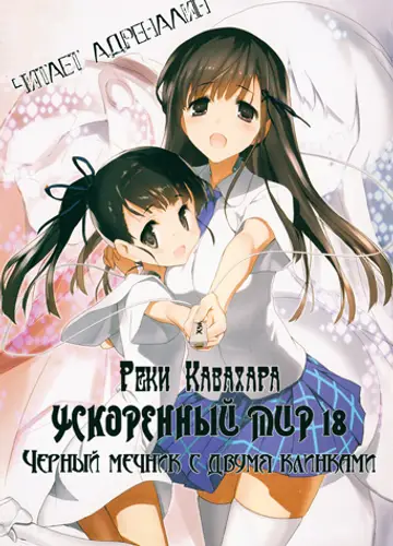 Accel World / Ускоренный Мир 18, Черный мечник с двумя клинками