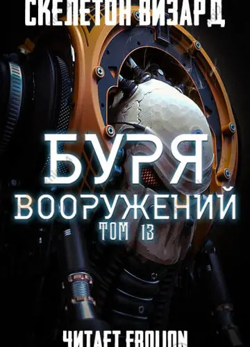 Буря Вооружений. Том 13